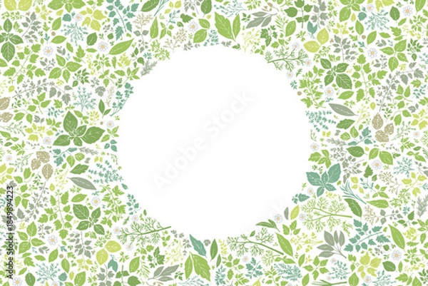 Obraz ハーブ柄のパターン　円形の余白があるフレーム