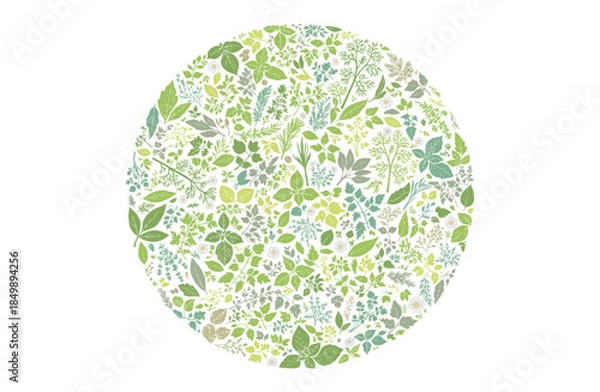 Obraz ハーブ柄のパターン　円形に敷き詰めた構成