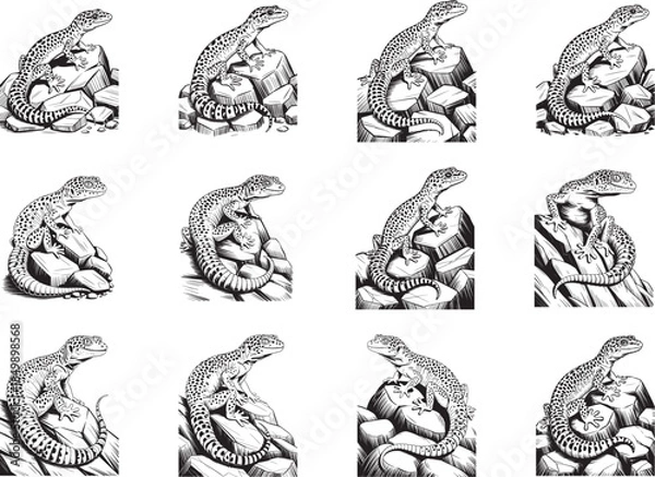 Fototapeta Leopard Gecko SVG