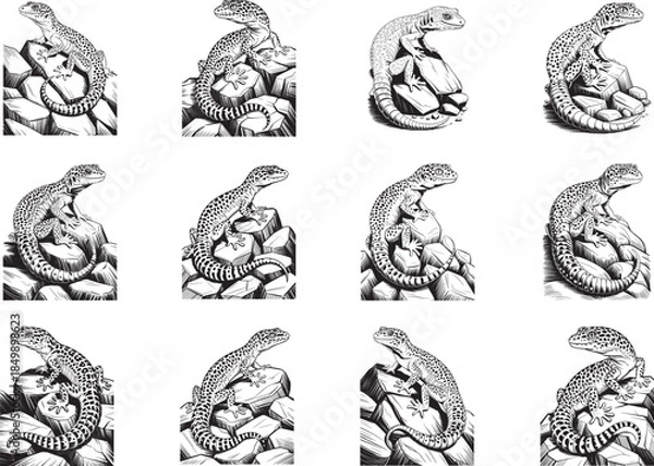 Fototapeta Leopard Gecko SVG