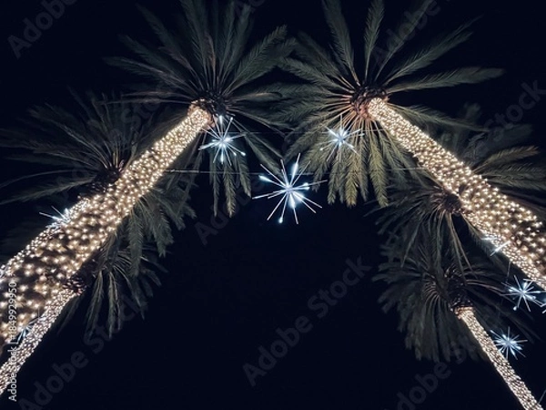 Obraz Palm Tree Lights At Christmas Time