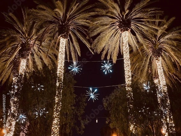 Obraz Palm Tree Lights At Christmas Time