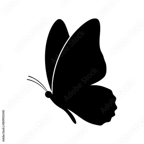 Obraz Empty vector file display Vector