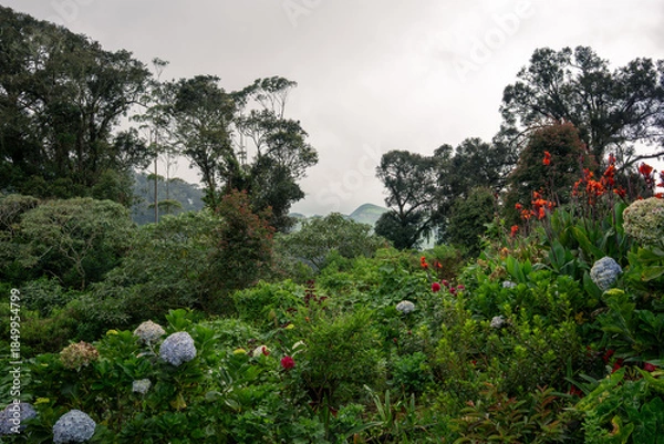 Obraz mountain landscape with flowers