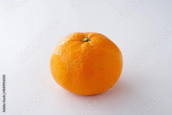 Obraz 白背景のみかん