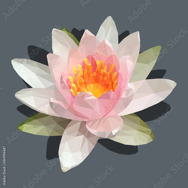 Fototapeta Basic RGB