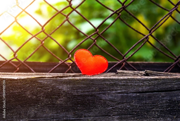 Obraz Red Heart Shape Closeup