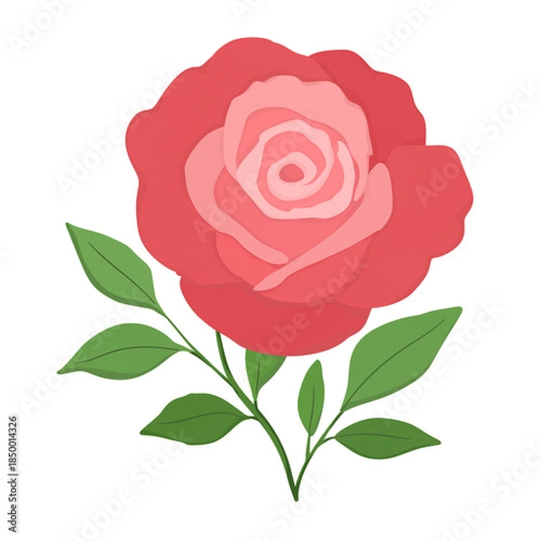 Fototapeta Red rose 
