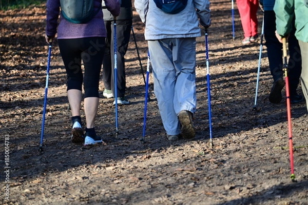 Obraz Marche nordique parc