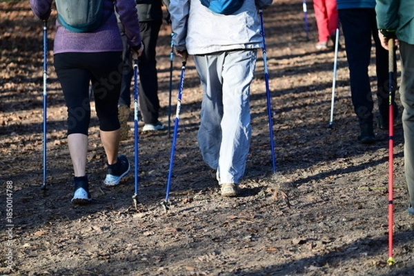 Obraz Marche nordique parc