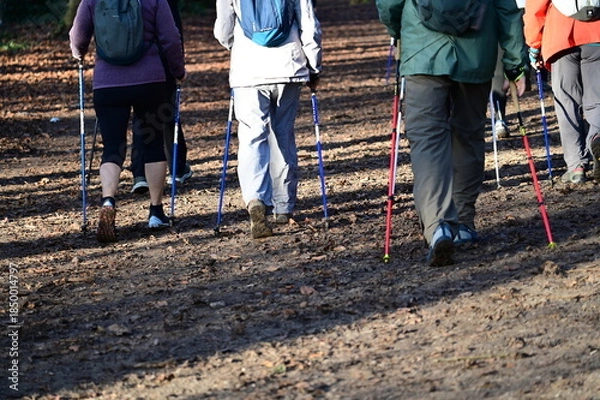 Obraz Marche nordique parc