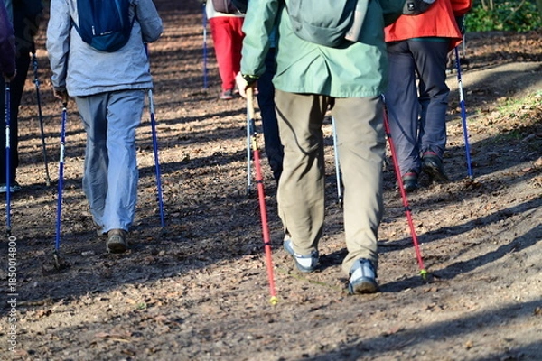 Obraz Marche nordique parc