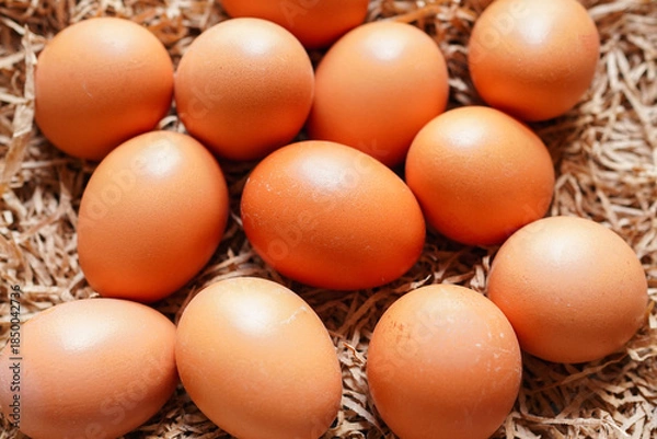 Obraz オーガニック卵のクローズアップ