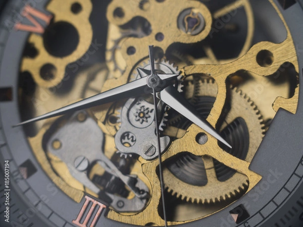 Fototapeta Mechanical skeleton watch with visible gears