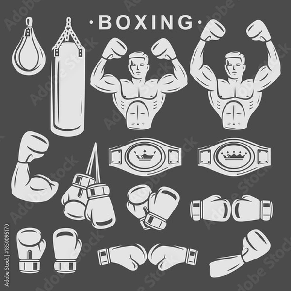 Obraz Boxing icon set. Collection element boxing. Vector