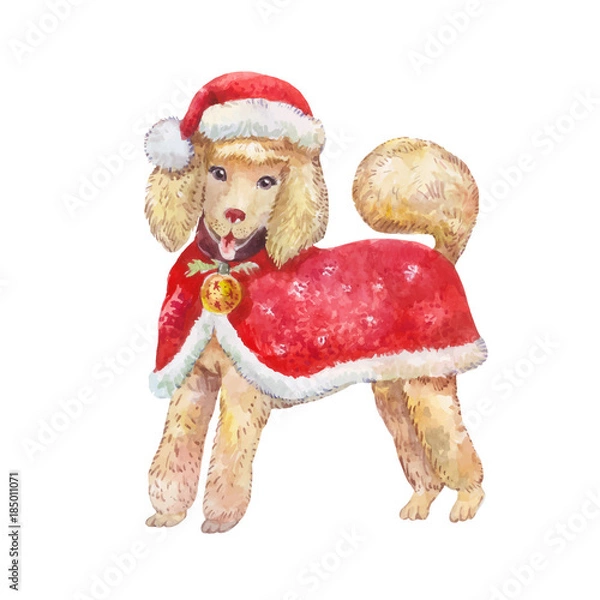 Obraz  Dog in New Year's clothes.