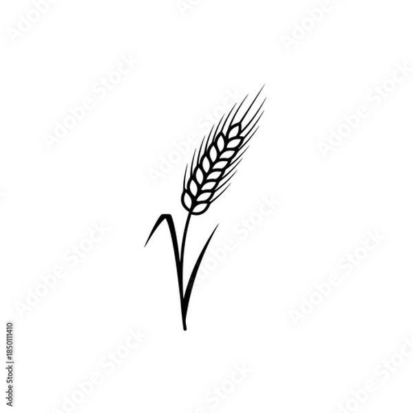 Obraz Wheat stalk icon silhouette vector