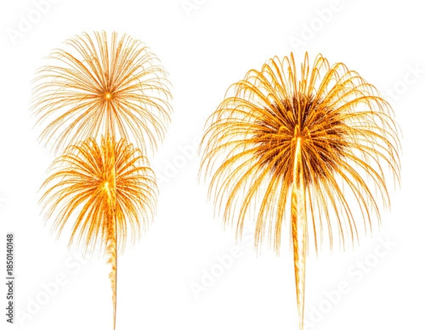 Obraz Four golden fireworks explode against a stark black backdrop