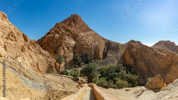 Obraz Chebika Oasis in Tunisia