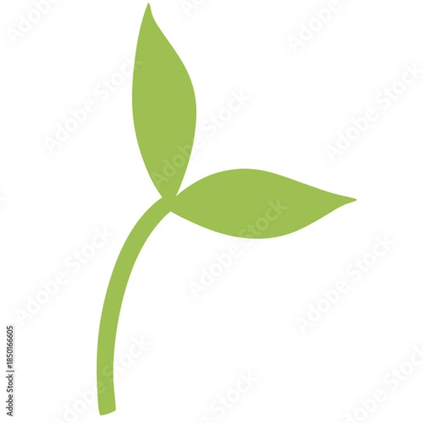 Obraz green leaf isolated on white