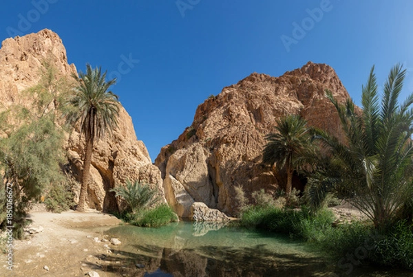 Obraz Chebika Oasis in Tunisia