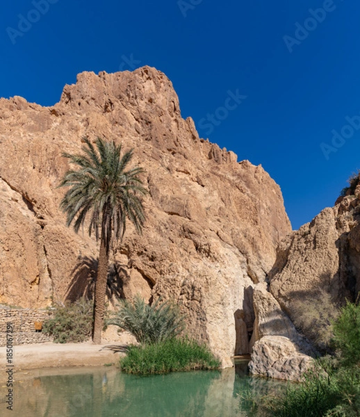 Obraz Chebika Oasis in Tunisia