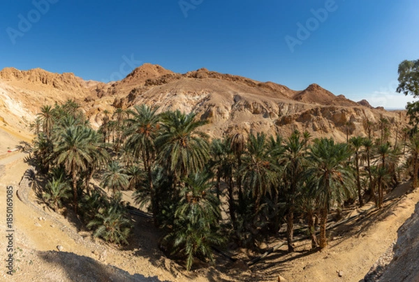 Obraz Chebika Oasis in Tunisia