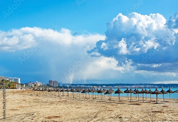 Fototapeta Winter Playa de Palma