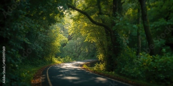 Fototapeta Kerala forest pathway, emphasizing biodiversity preservation and seasonal erosion