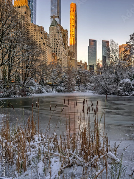 Obraz Central Park in winter  after snow storm