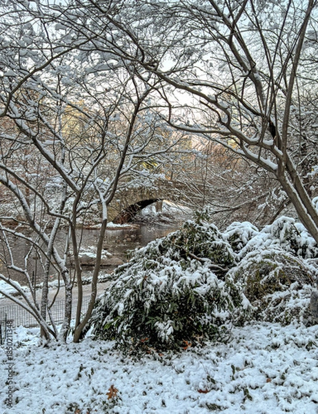 Obraz Gapstow Bridge in Central Park, after snow storm