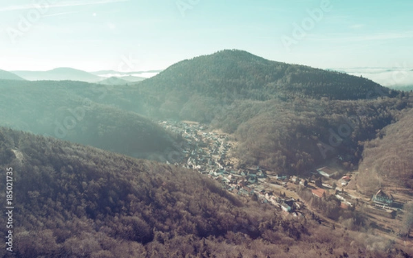 Fototapeta Pfälzer Wald