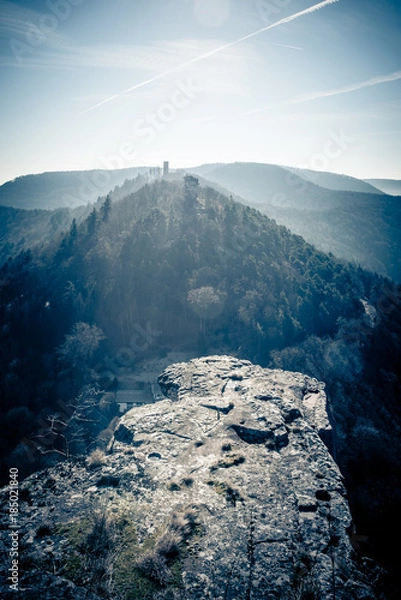 Fototapeta Pfälzer Wald