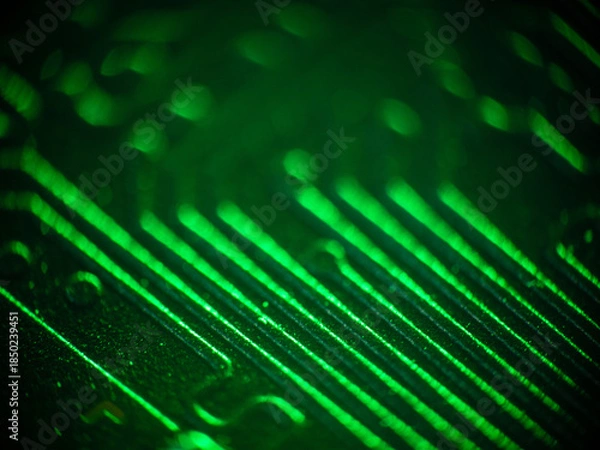 Obraz Super macro details