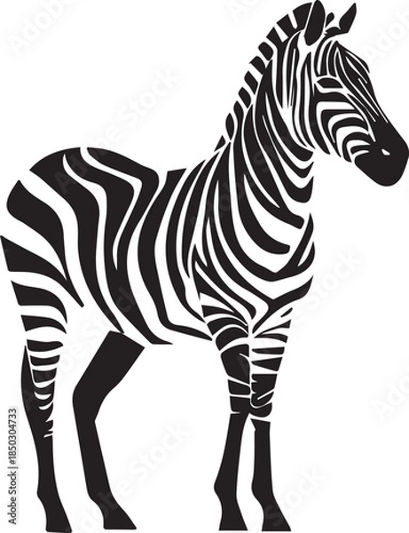 Obraz Zebra isolated on white background