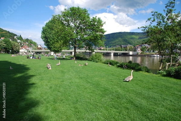 Obraz Wiese in Stadt