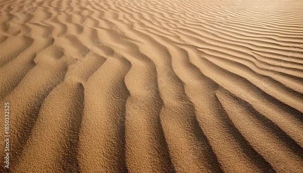 Obraz Sand Texture Background