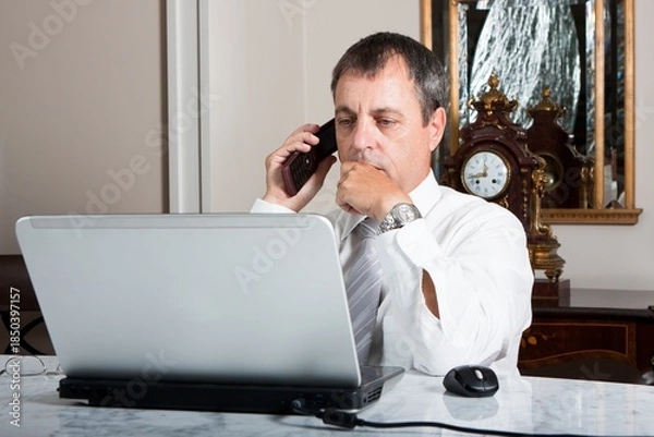 Obraz Businessman Working on Laptop While Talking on Phone