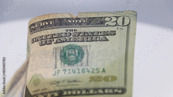 Obraz Twenty us dollars close up. American money.