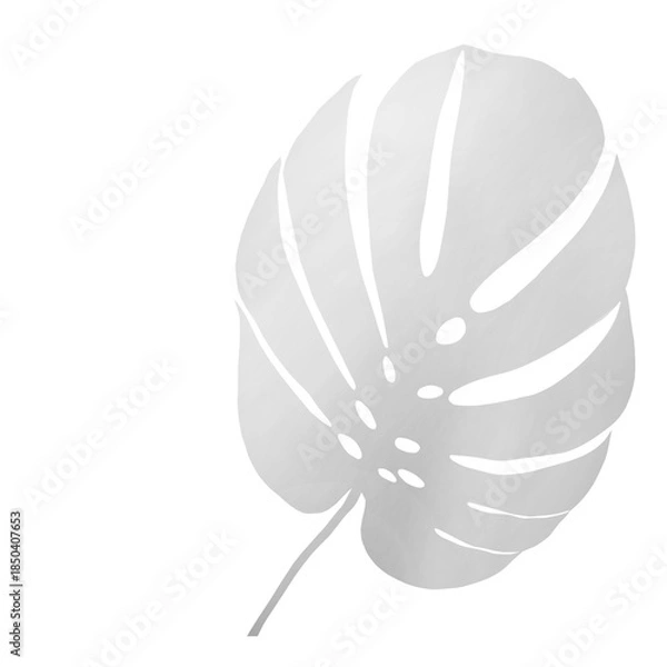 Fototapeta Side Light Leaf Shadow on Transparent Background