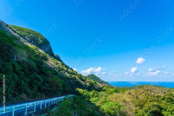 Obraz 坊主森付近より古宇利島を望む