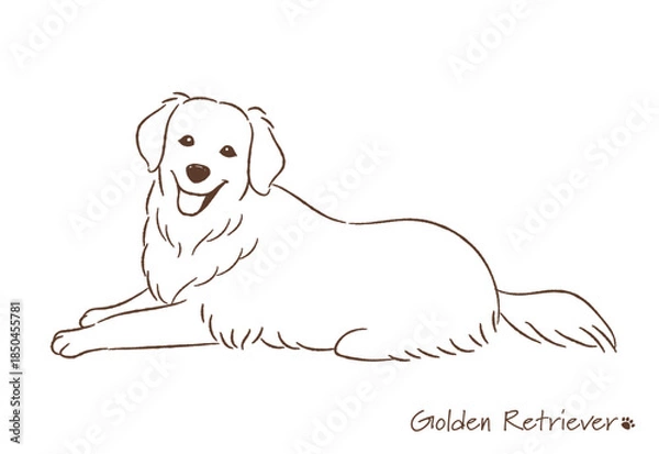 Obraz 手描きのゴールデンレトリバー線画_ベクターイラスト
