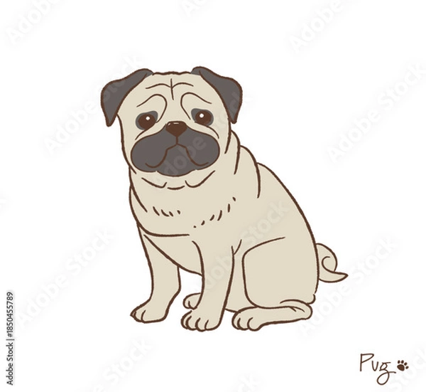 Obraz 手描きのパグ_ベクターイラスト