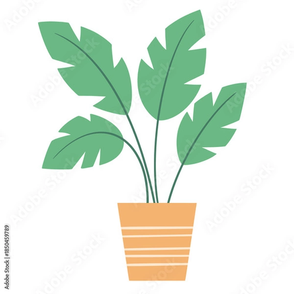 Fototapeta Potted House Plant