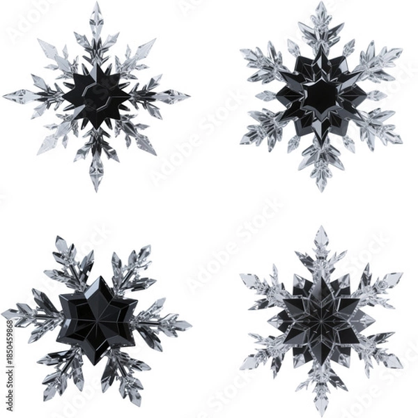 Obraz 雪の結晶　氷　冬