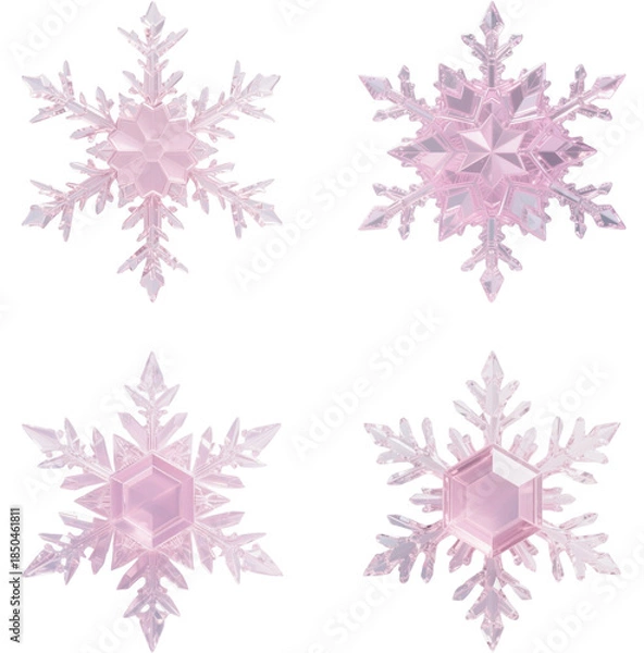 Obraz 雪の結晶　氷　冬