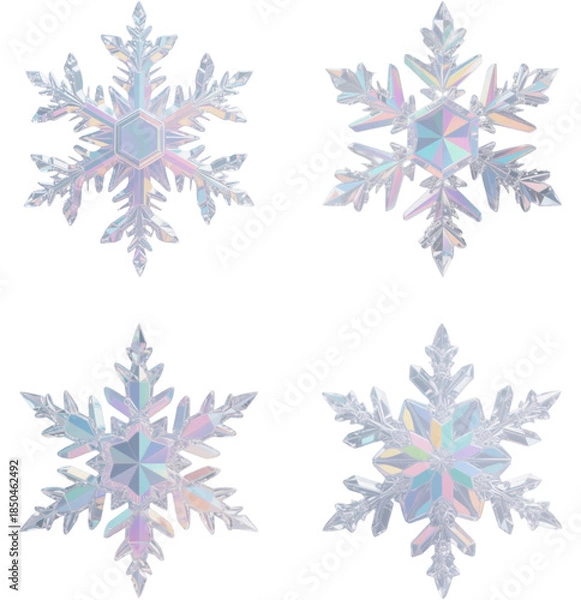 Obraz 雪の結晶　氷　冬