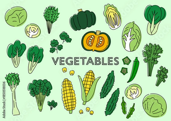 Obraz 野菜の手描きイラストセット