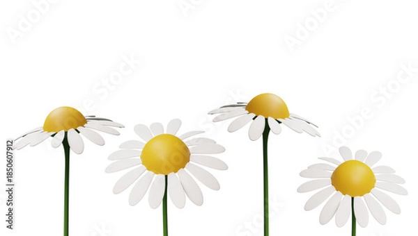 Obraz 3d render with cartoon daisies border.