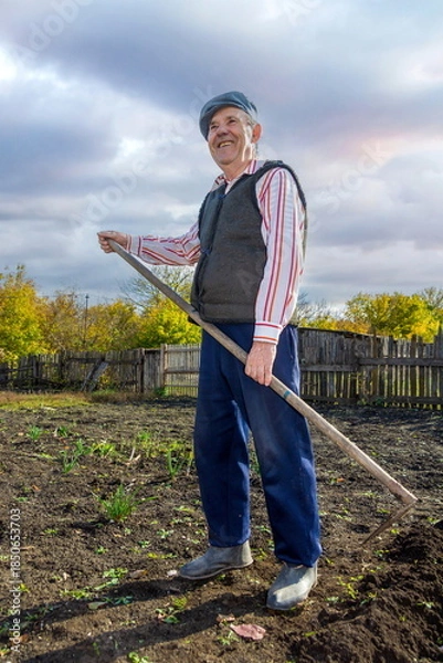 Fototapeta An elderly pensioner cultivates his garden with a hoe in the fall